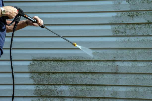 Best House Pressure Washing  in Marion, IN