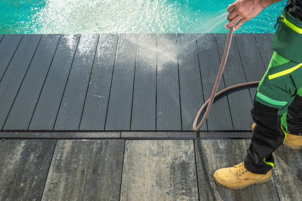 Best Roof Pressure Washing  in Marion, IN